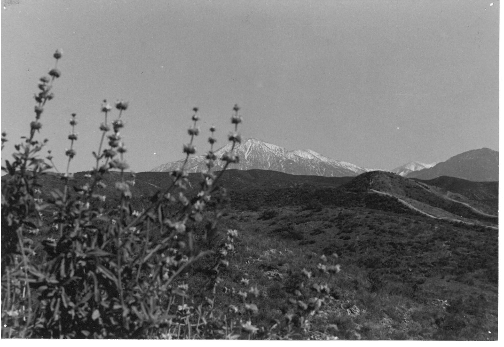 Mountains